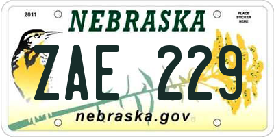NE license plate ZAE229