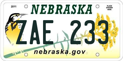 NE license plate ZAE233
