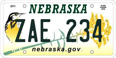 NE license plate ZAE234