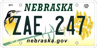 NE license plate ZAE247