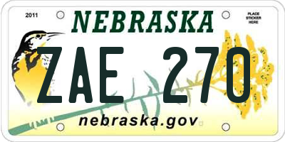 NE license plate ZAE270