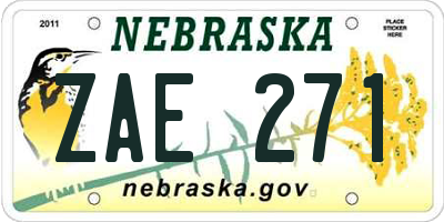 NE license plate ZAE271