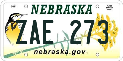 NE license plate ZAE273