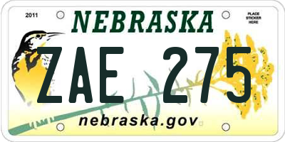 NE license plate ZAE275