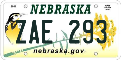 NE license plate ZAE293
