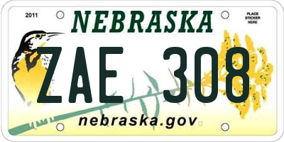 NE license plate ZAE308