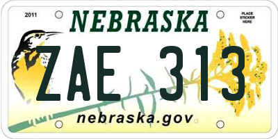 NE license plate ZAE313