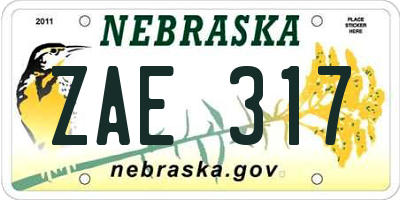 NE license plate ZAE317