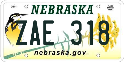 NE license plate ZAE318