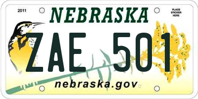 NE license plate ZAE501