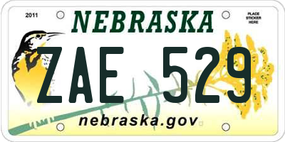 NE license plate ZAE529