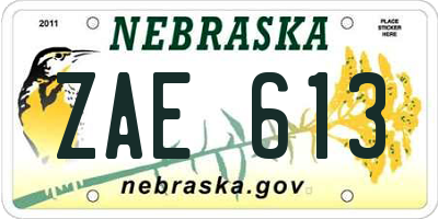 NE license plate ZAE613