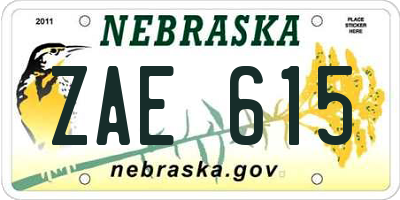 NE license plate ZAE615