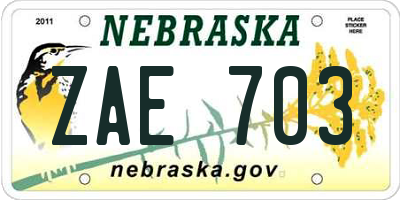 NE license plate ZAE703