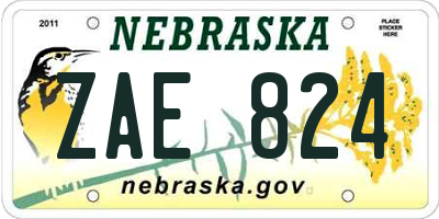 NE license plate ZAE824