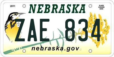 NE license plate ZAE834