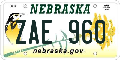 NE license plate ZAE960