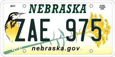 NE license plate ZAE975