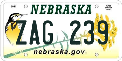 NE license plate ZAG239