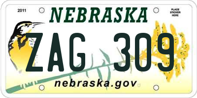 NE license plate ZAG309