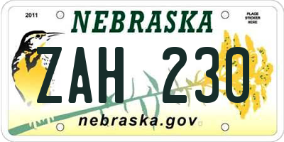 NE license plate ZAH230