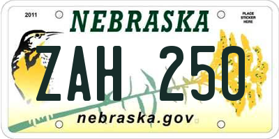 NE license plate ZAH250