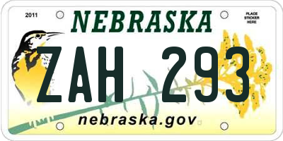 NE license plate ZAH293