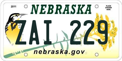 NE license plate ZAI229