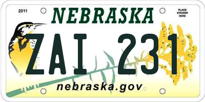NE license plate ZAI231