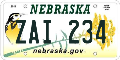 NE license plate ZAI234