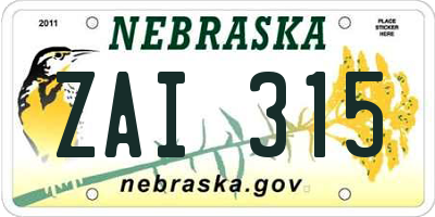 NE license plate ZAI315