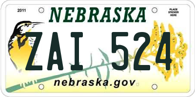 NE license plate ZAI524