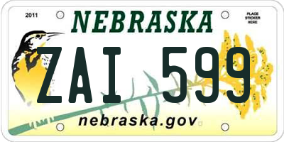 NE license plate ZAI599