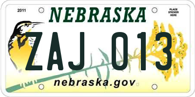 NE license plate ZAJ013