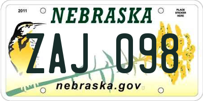 NE license plate ZAJ098