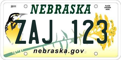 NE license plate ZAJ123