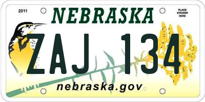NE license plate ZAJ134