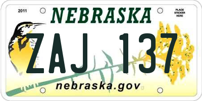 NE license plate ZAJ137
