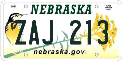NE license plate ZAJ213