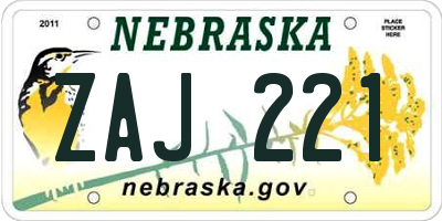 NE license plate ZAJ221