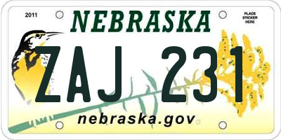 NE license plate ZAJ231