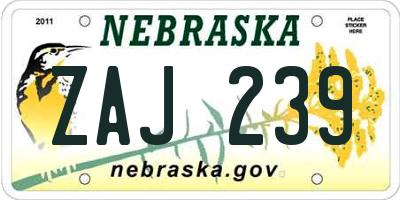 NE license plate ZAJ239