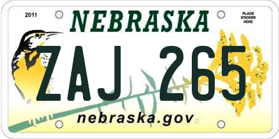 NE license plate ZAJ265