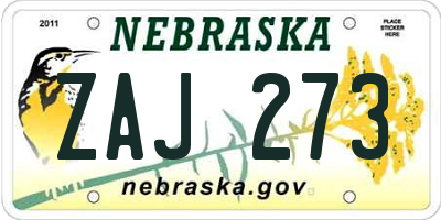 NE license plate ZAJ273