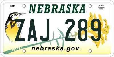 NE license plate ZAJ289