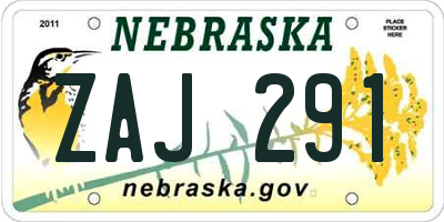 NE license plate ZAJ291