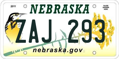 NE license plate ZAJ293