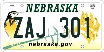 NE license plate ZAJ301
