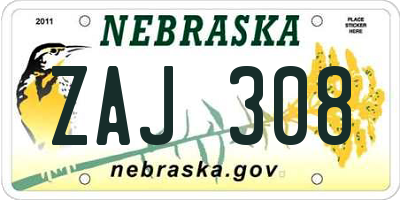 NE license plate ZAJ308