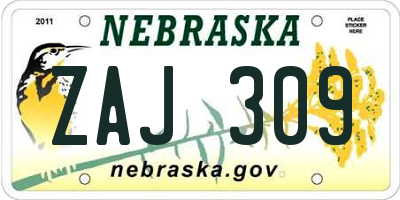 NE license plate ZAJ309